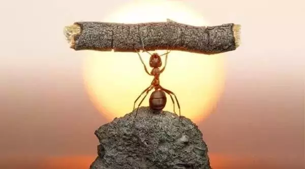 管理者，如何快速提高团队执行力？